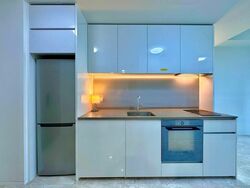 Amber Park (D15), Condominium #458344331